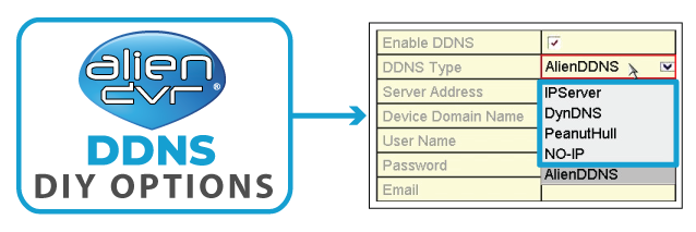 Alien_DDNS-DIY-options